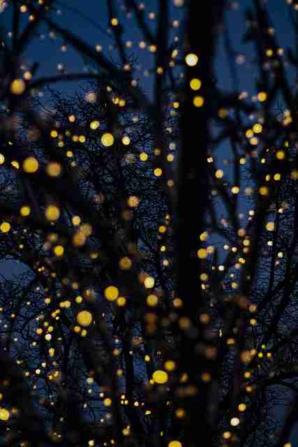 鉴黄师免费观看内容挑战升级｜边界模糊案例分析面临更高识别标准