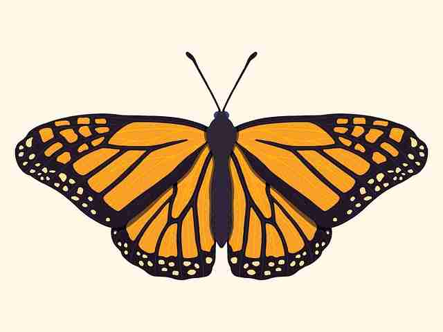 好色先生作品热度回顾｜平台视觉风暴频道维持高活跃