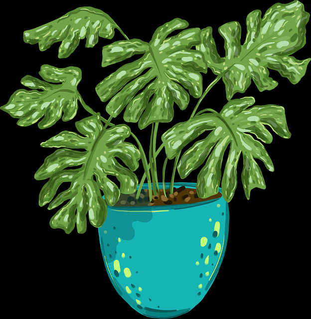 好色先生TV作品热度回顾｜高分频道解析频道维持高活跃