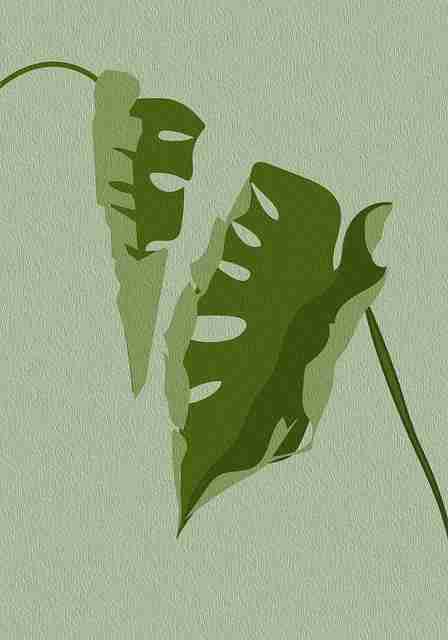 暗网禁地常用跳转方式整理｜非法信息传播手法入口机制剖析