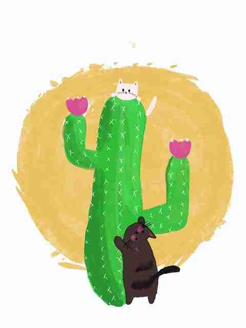 好色先生tv频道剪辑风格盘点｜恋爱姿态呈现节奏快慢自由切换