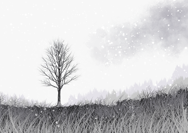 探花视频精选栏目发布|角色扮演实录片段赢得满分评价